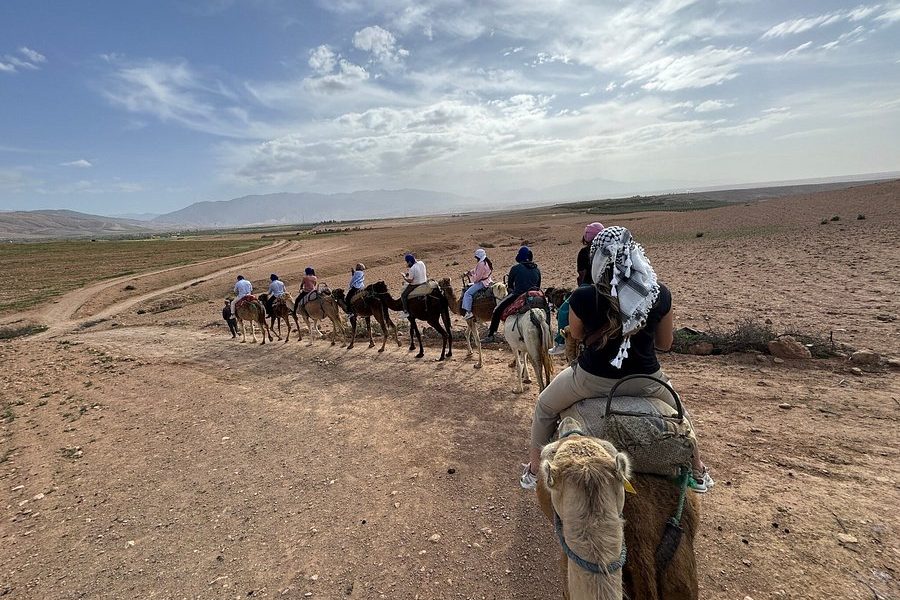 Camel ride