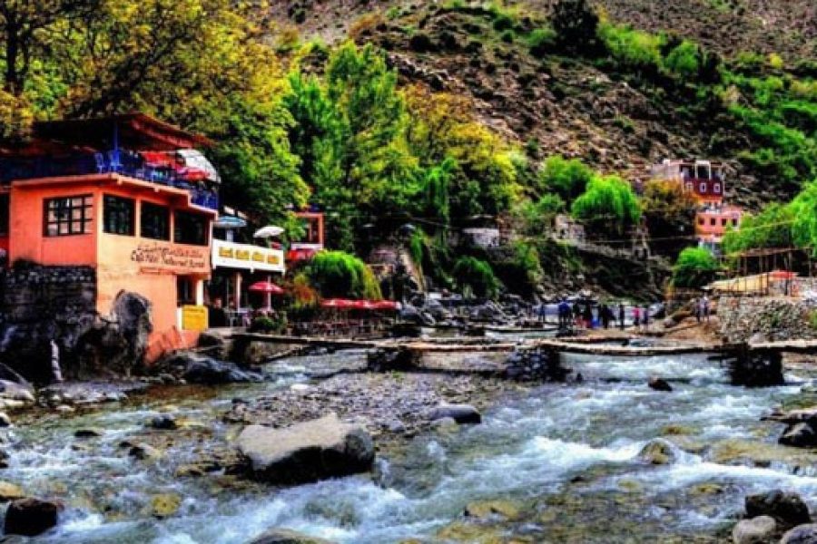 Day trip Ourika Vally